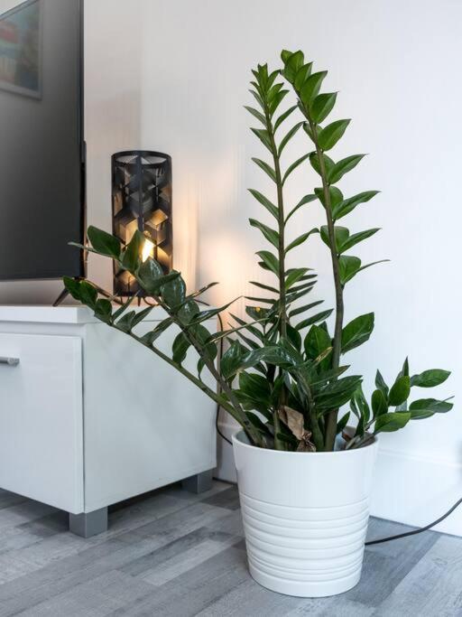 Le Serein Apartment Toulon