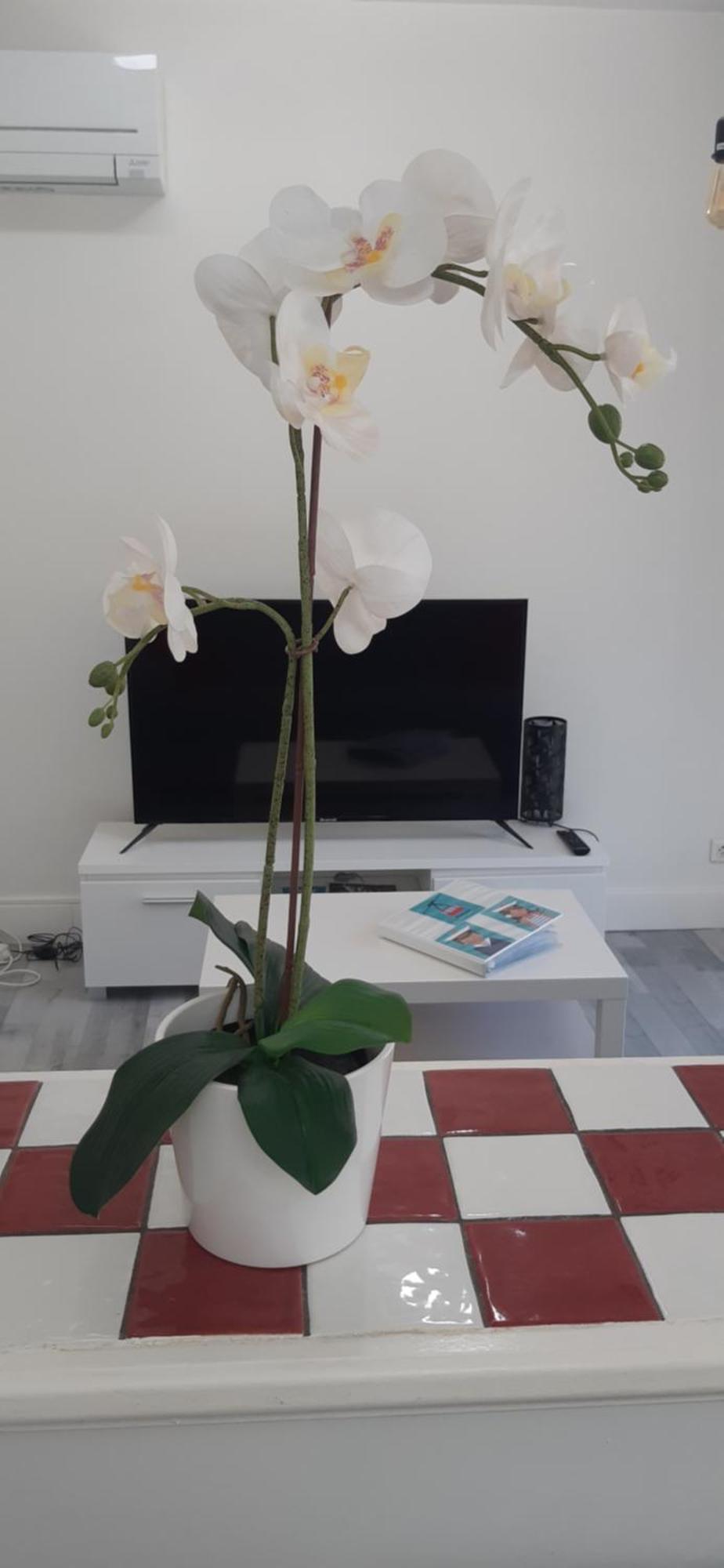 Le Serein Apartment